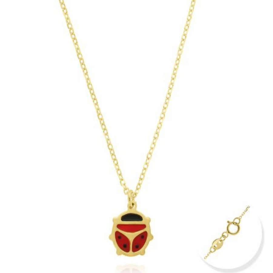 Joyeria Cristal Joyas | Dije Con Cadena Corazon Y Catarina Oro 14K